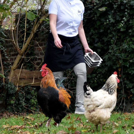 nathalie jaminon et poules